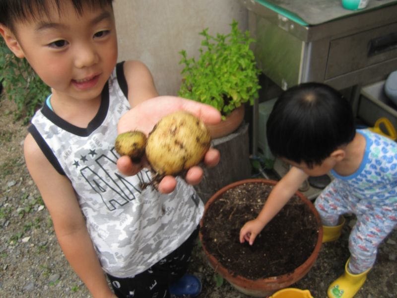 画像: 家族のきずな