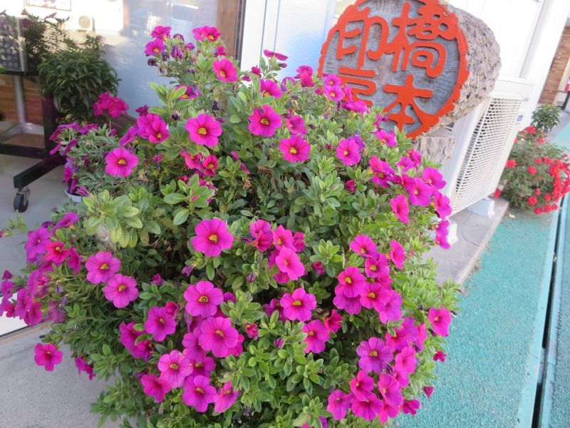 画像: 壺　（見えないものが見える１７１）