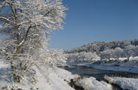 画像: 最高の雪景色